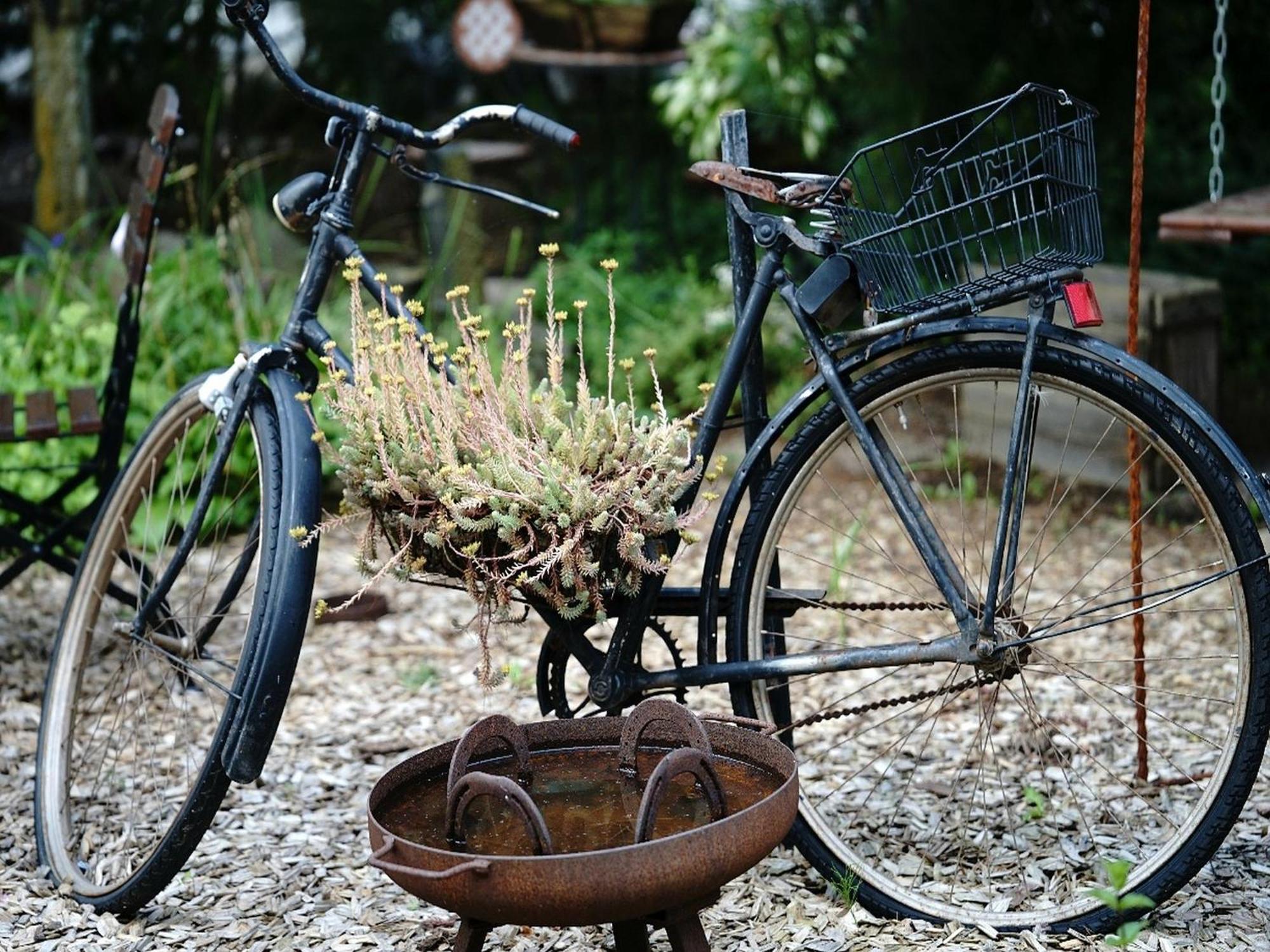 Usedom Bike Hotel & Suites Karlshagen Exterior foto